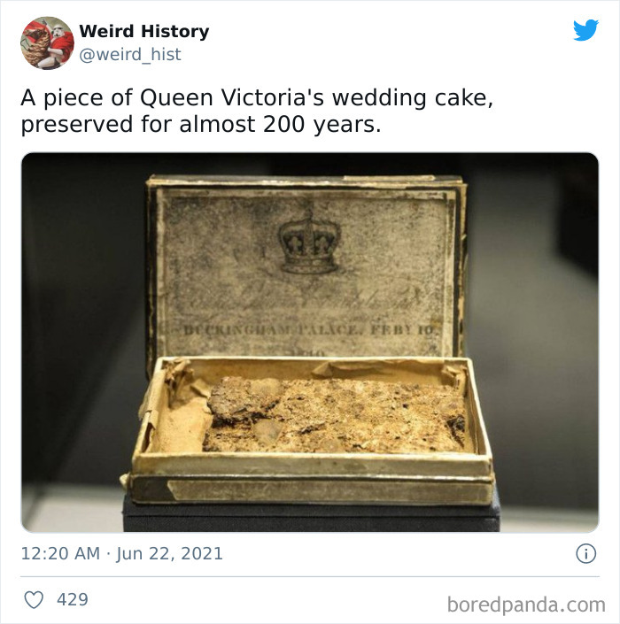 Interesting-Weird-History