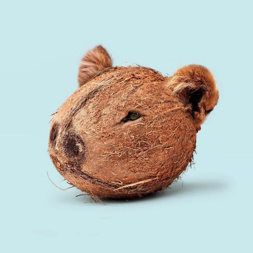 Artist Mixes Animals And Creates The Most Surreal Hybrids You've Ever Seen ( 151 Pics)