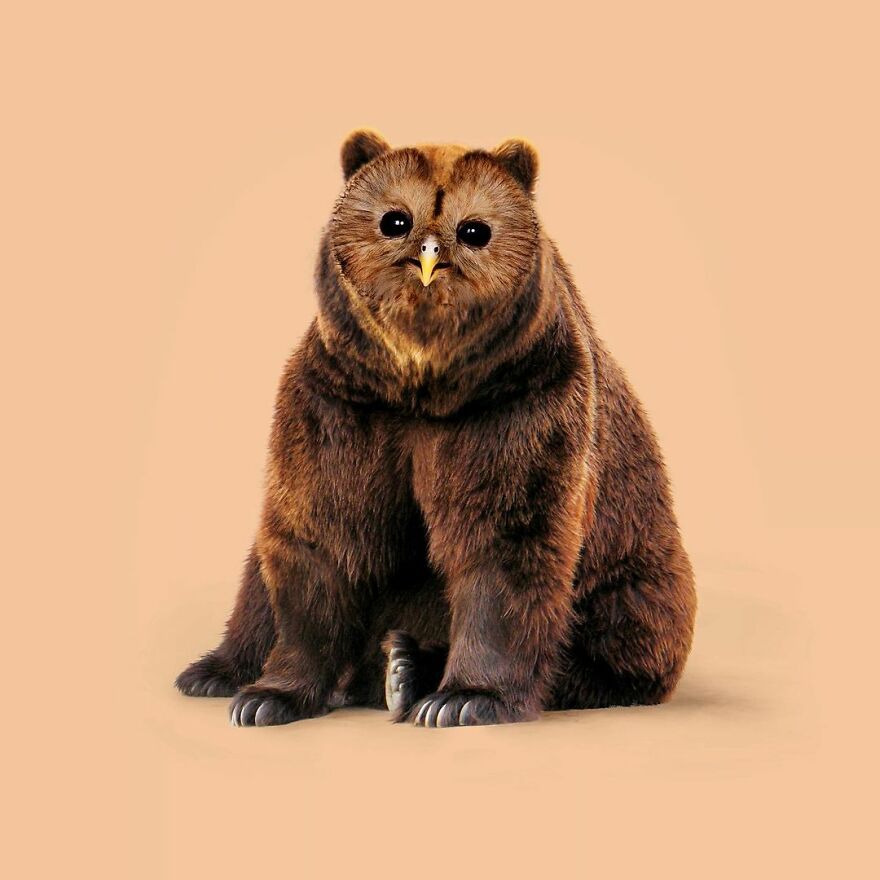 Artist Mixes Animals And Creates The Most Surreal Hybrids You've Ever Seen ( 151 Pics)
