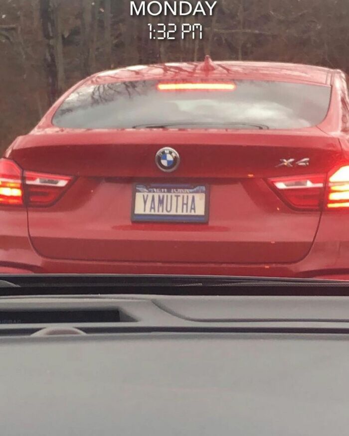 Gotta Love NY Vanity Plates