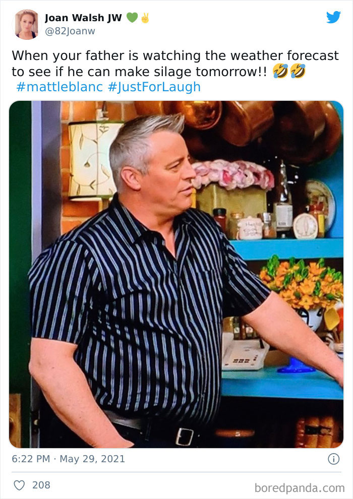Matt-Leblanc-Irish-Uncle-Memes