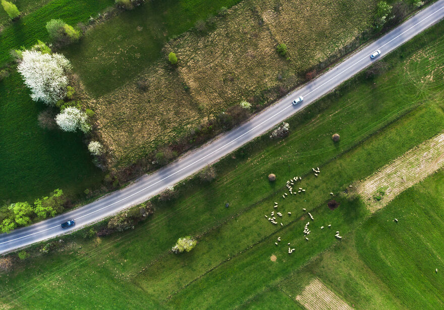This Is How Spring Looks Like In Romania In My 21 Photos