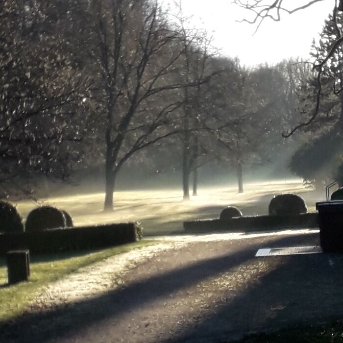 The Park In My Hometown