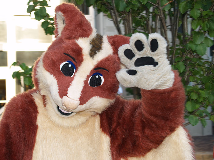 35 Things That Get A Lot Of Hate But It's Undeserved