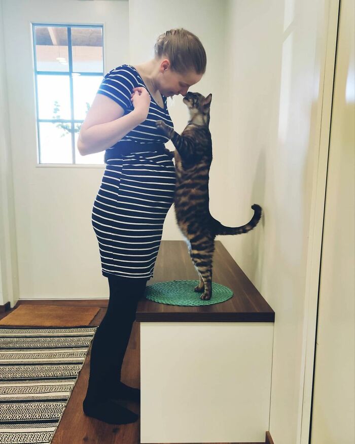 This Very Talented Cat Can Perform Over 50 Amazing Tricks