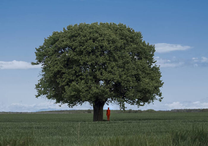 I Create Surreal Images Using Full-Body Suits