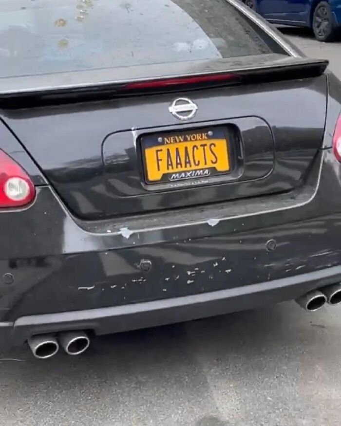 Gotta Love NY Vanity Plates