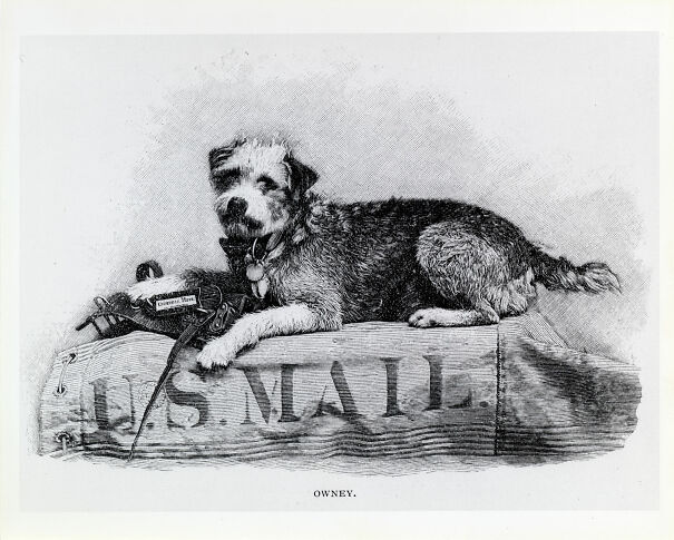 1920px-Illustration_of_Owney_on_Mail_Sack-60c37e5459826.jpg