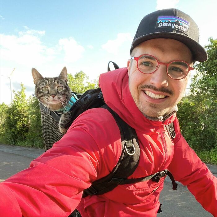 Meet Cathode, The Cat That Has Incredible Adventures With Its Owner