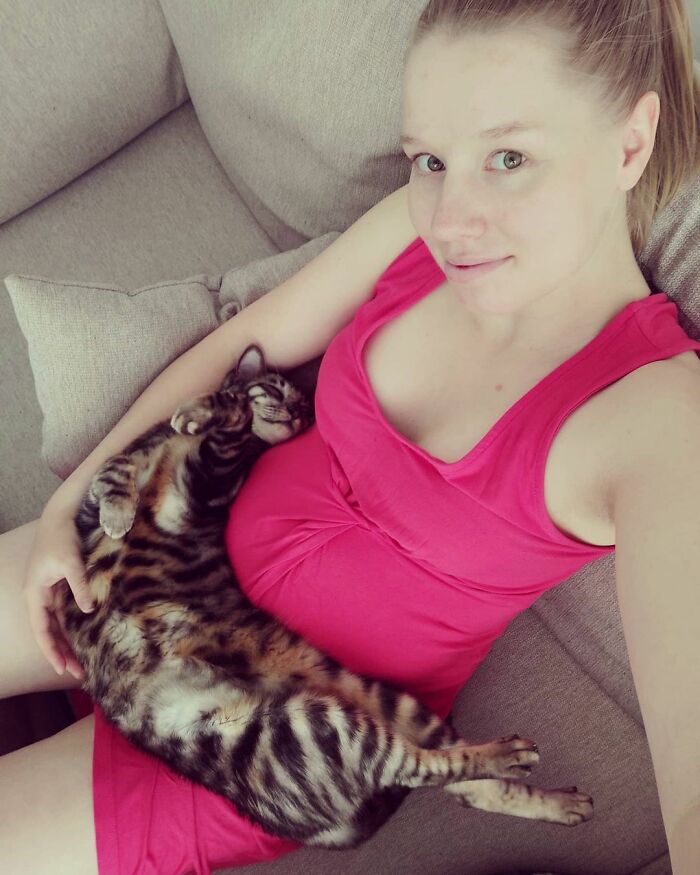 This Very Talented Cat Can Perform Over 50 Amazing Tricks