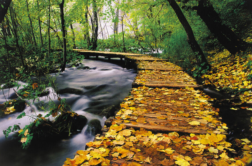I Swam Across, Flew Over, Dived Into, And Hiked Along The Magnificent Plitvice Lakes In Croatia