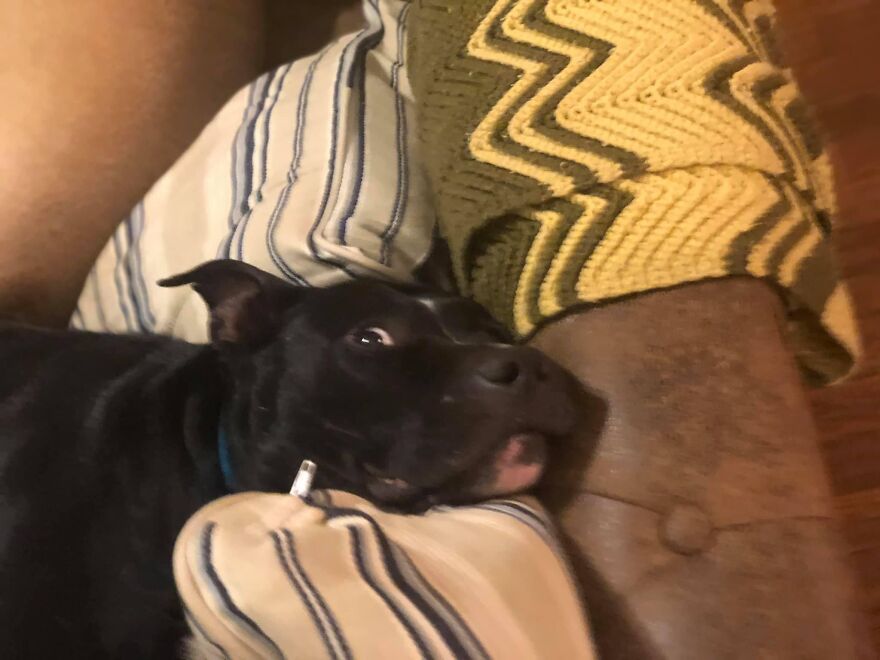 Did Someone Say ‘Snackie’?