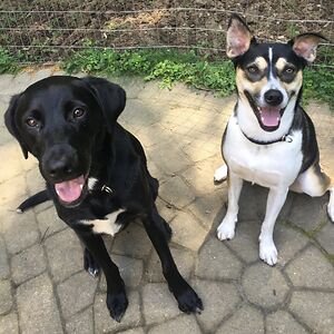 aimeelavalley avatar