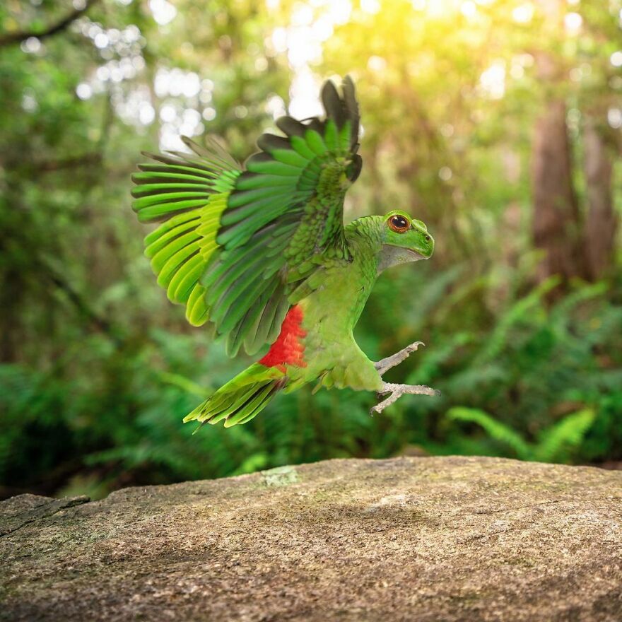 Artist Mixes Animals And Creates The Most Surreal Hybrids You've Ever Seen ( 151 Pics)