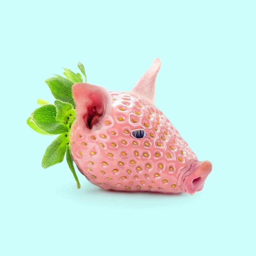 Artist Mixes Animals And Creates The Most Surreal Hybrids You've Ever Seen ( 151 Pics)