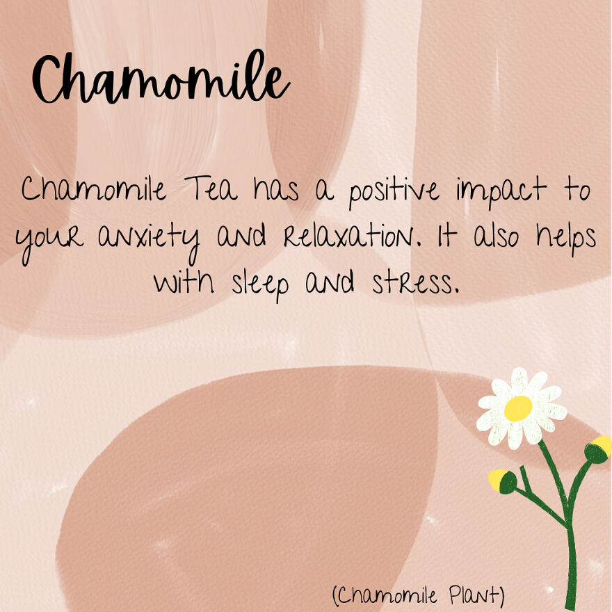 I Was Bored So Benefits Of Different Types Of Tea