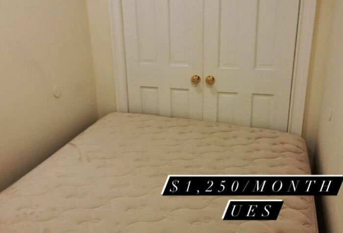 That Apartment Cost What??