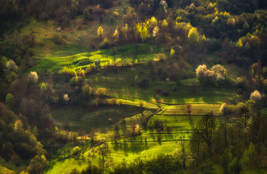 This Is How Spring Looks Like In Romania In My 21 Photos