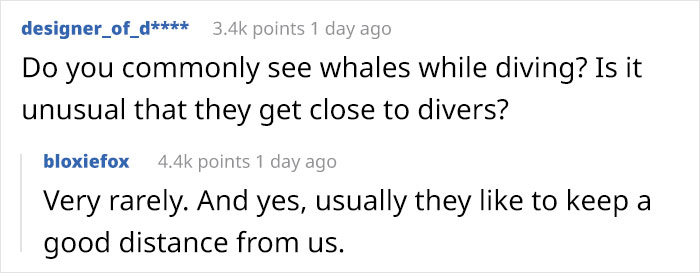 Lobster-Diver-Survive-Swallowed-Whale