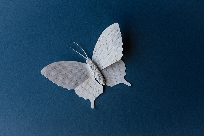 Paper Butterfly - First Time Playing With Paper Weaving.