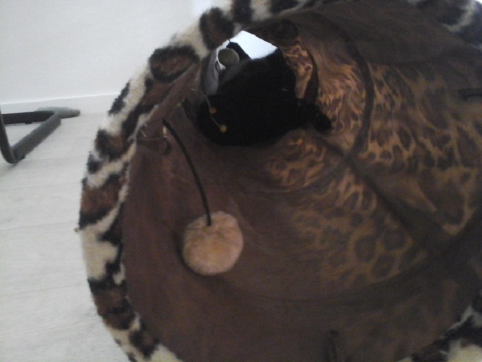 I Brought A Tunnel Demon Into An Hospital. Luckily Nobody Died During His Stay