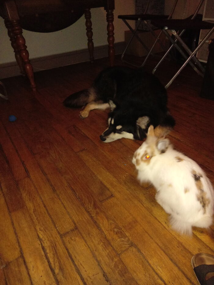 I Will Kill Him In His Sleep Then I Will Begin My Journey To Rule The World