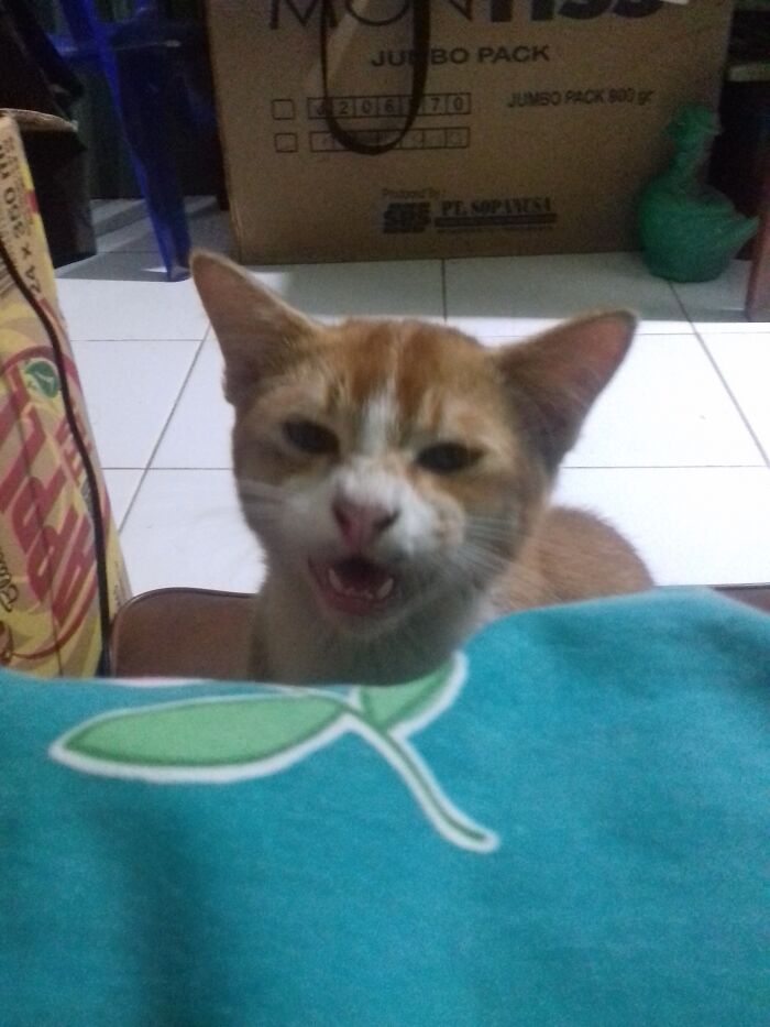 I'm Hungry, Get Up Quickly And Feed Me