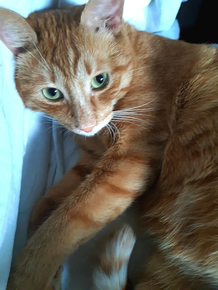 My Beautiful Boy 🥰