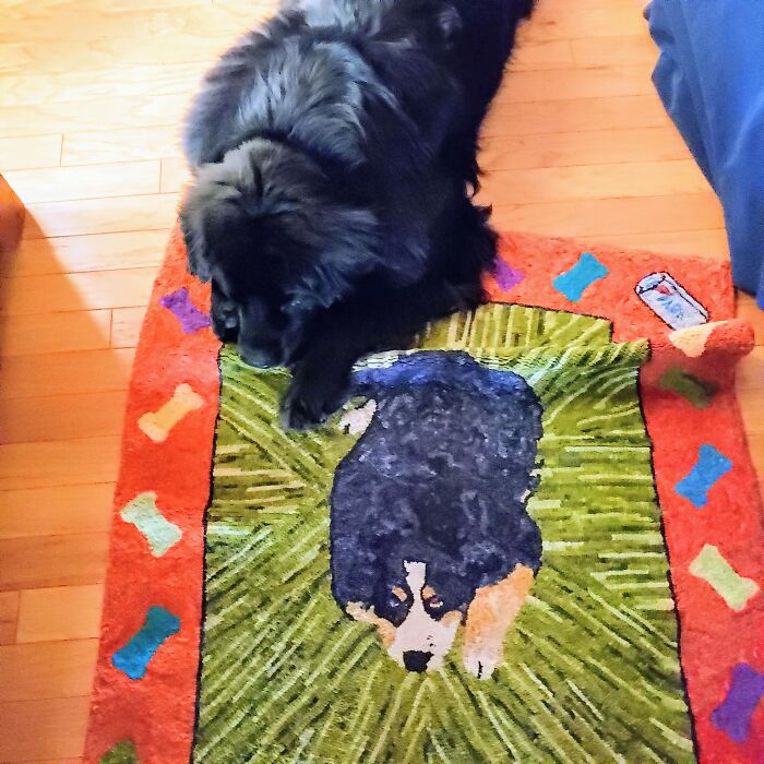 Poutine, He's A Newfoundland And Is My Comfort Dog. Poutine Is Canadian Comfort Food, So We Thought The Name Appropriate. My Poutine Came To Us After I Lost My Precious Bernese Mountain Dog. He Has Been My Comfort And Strength For The Last Three And A Half Years.