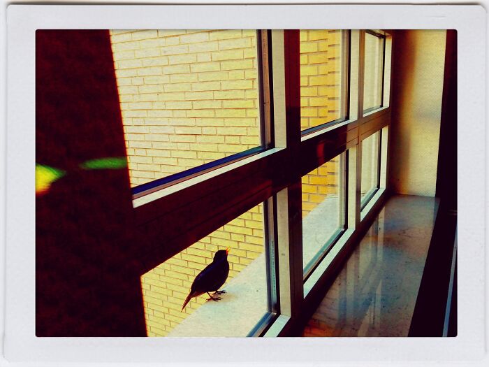 My Favourite Room Is Where The Friends Are