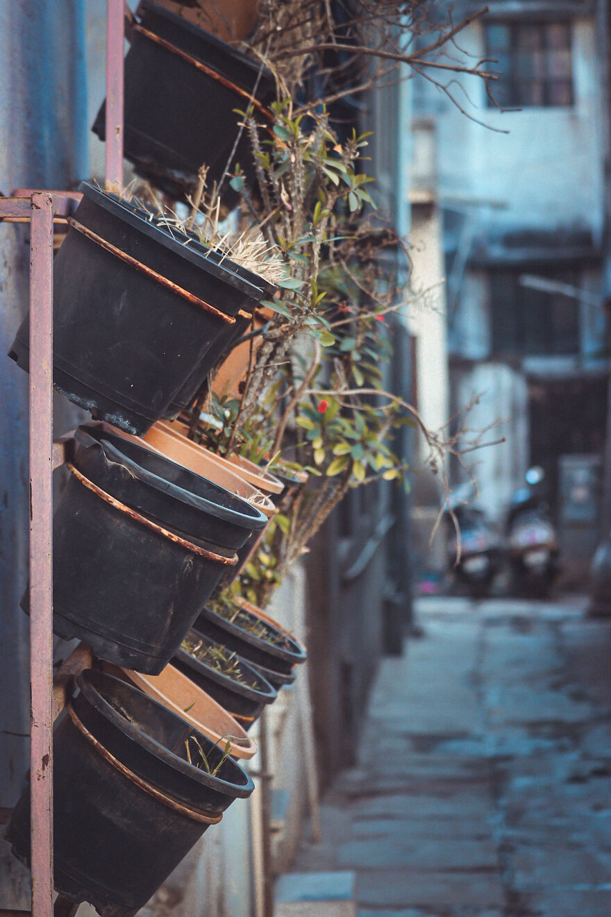I Captured Streets Of My City, Ahmedabad