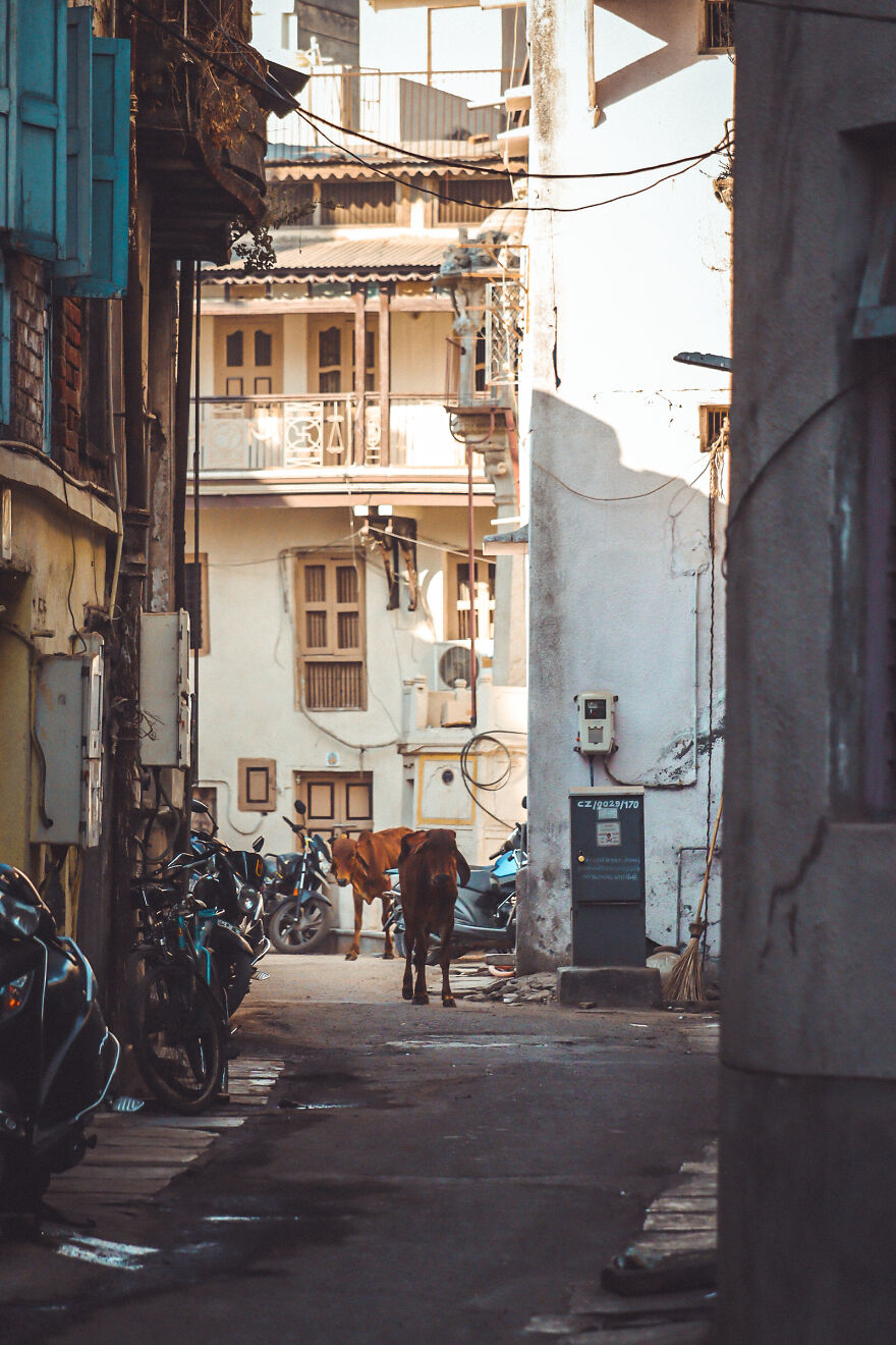 I Captured Streets Of My City, Ahmedabad