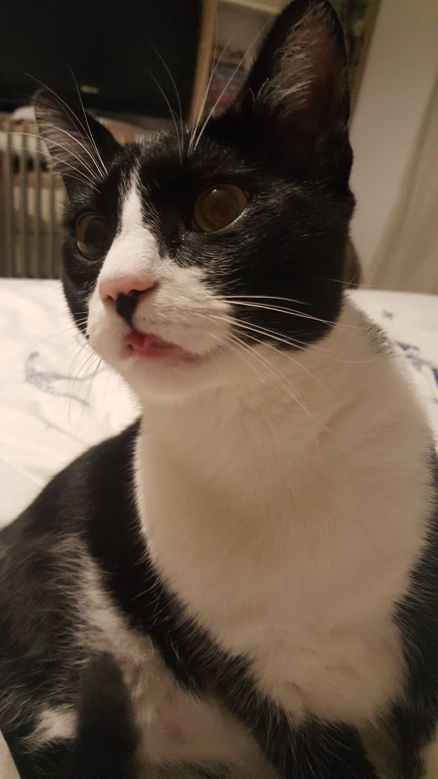 Can You Curl Your Tongue Like This? Bamba Can ;)