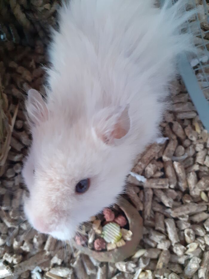 Babybel: The Tiny And Delicious Cheese :))))