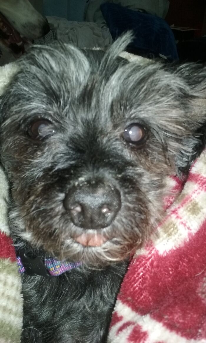 Taken One Month Before He Passed Away