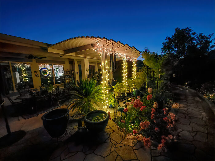 It Was Rough But I Rode Out The Pandemic In My Backyard.