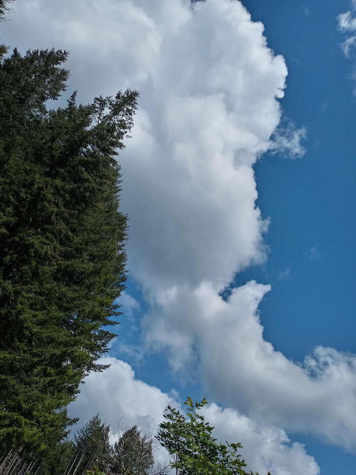 Higher Elevation Has Its Perks.