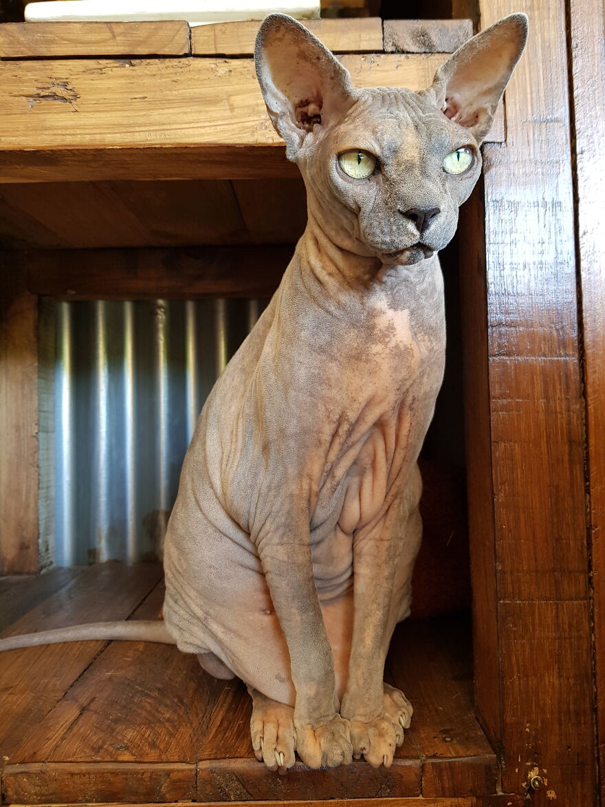 Check Out The Toes On My Little Creep