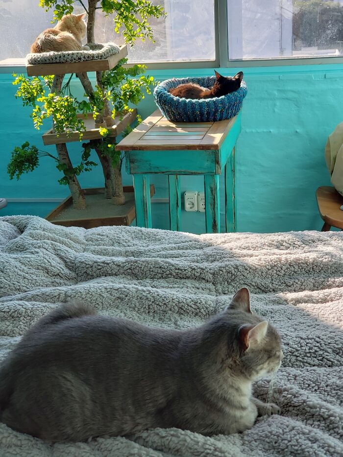 My Three Angels On Saturday Morning