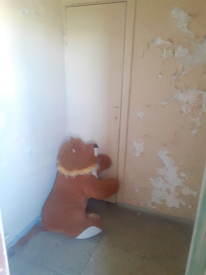 This Abandoned Plushie In Our Hallway Is Unnerving Too