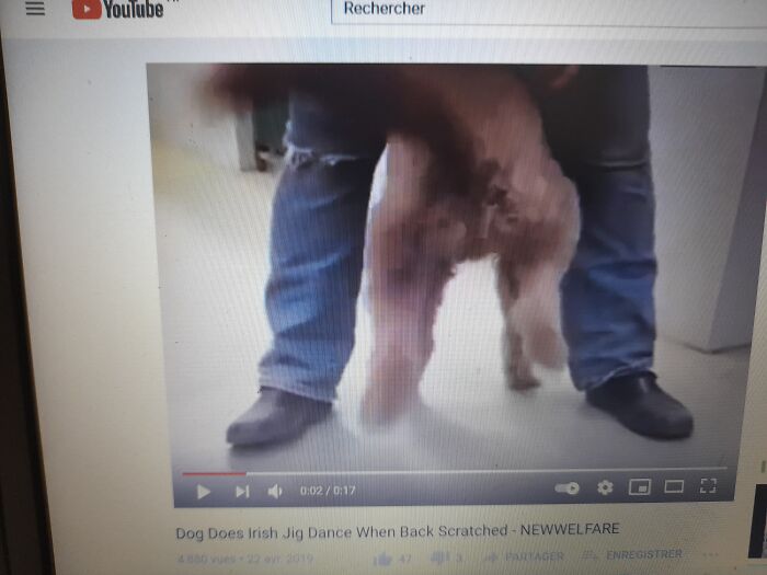 Sorry It's Not Realy A "Pic" But I Have This In My Phone Camera Thread, I Watch It Whenever I Feel "Meh". Very Simple But Hyper Effective On Me.