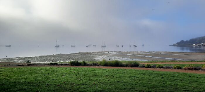Morning Fog By The Water