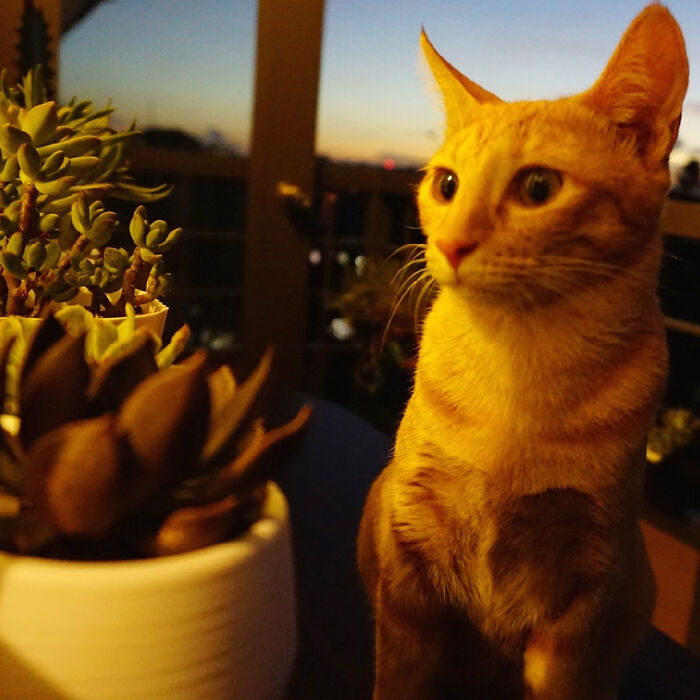 My Baby Ready To Kill Them Plants.