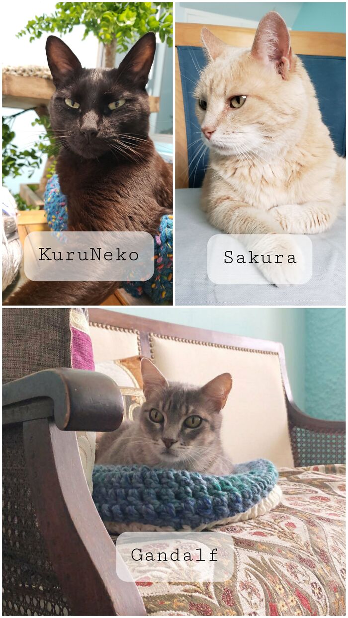 My Three Babys. I Love Them So Much ❣