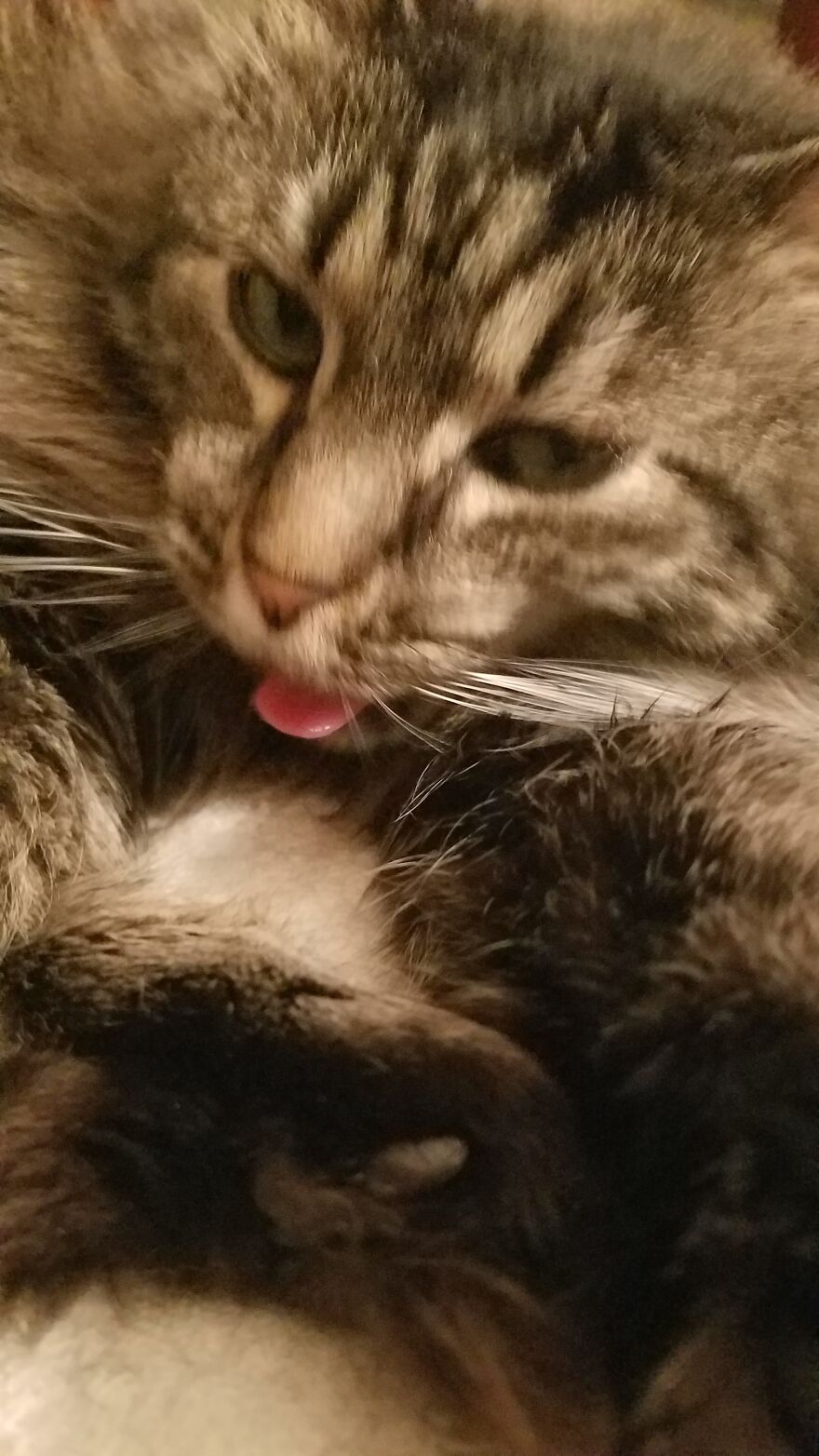 This Is Dory. Dory Says Have A Nice Day.