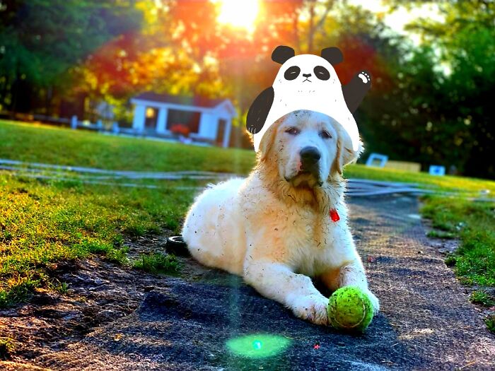 Are You Talking To Me?