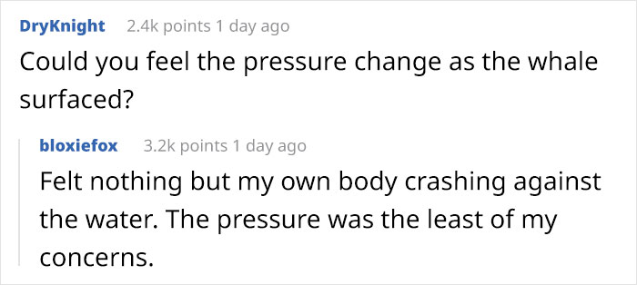 Lobster-Diver-Survive-Swallowed-Whale