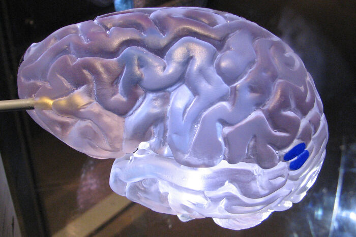 40 Popular Sayings Getting Roasted By People Online For Being False