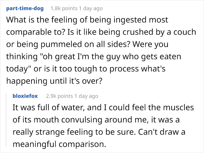 Lobster-Diver-Survive-Swallowed-Whale