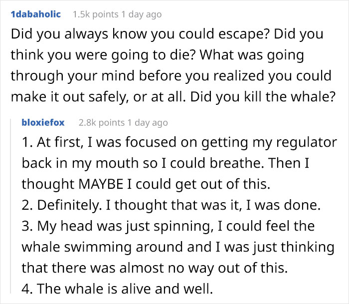 Lobster-Diver-Survive-Swallowed-Whale